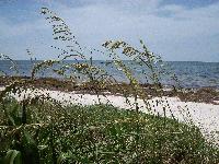 Sandspur Beach, Bahia Honda