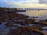 Bahia Honda's famous brige.