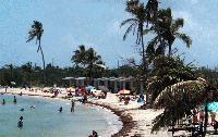 Calusa Beach