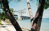 The Bahia Honda State Park Bridge